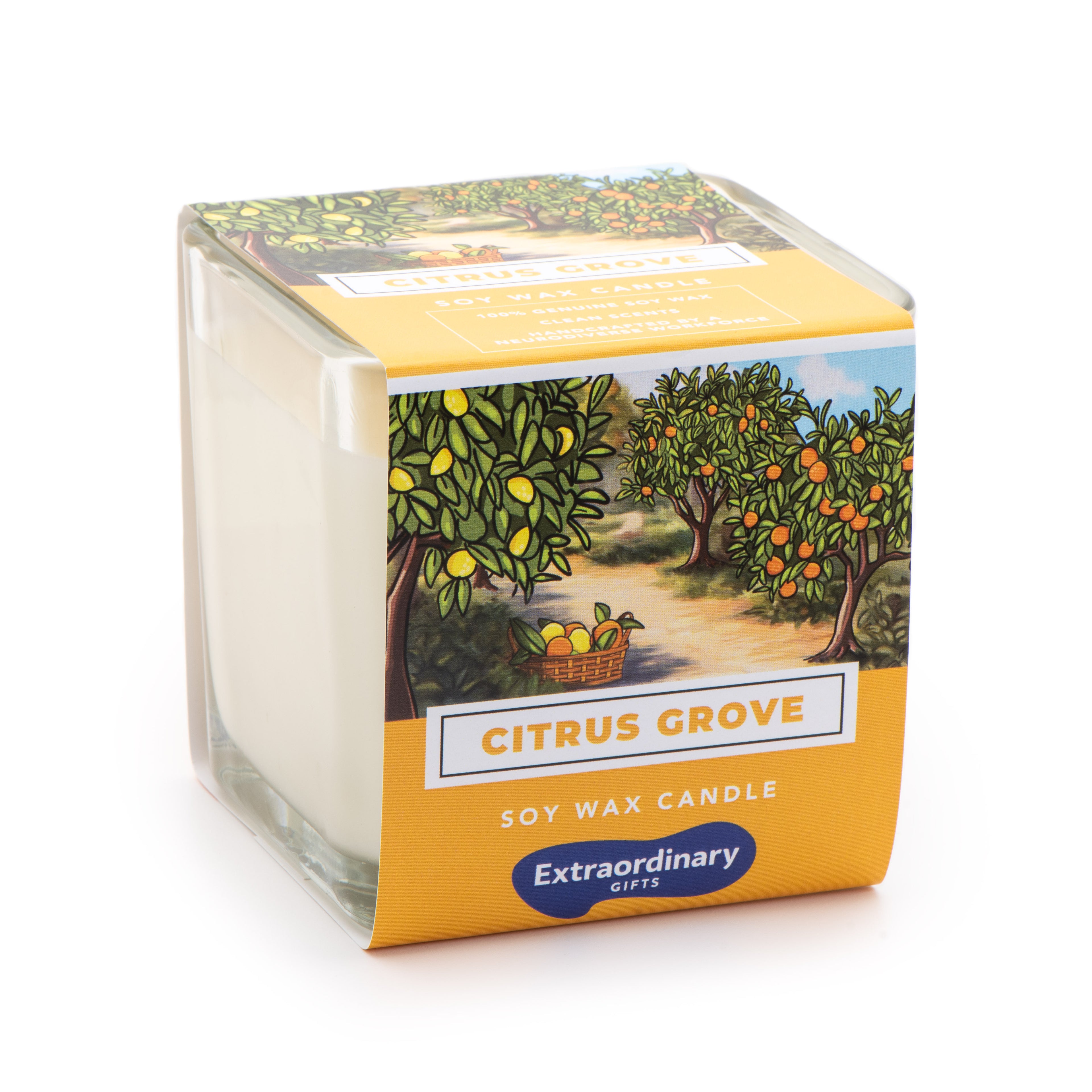 Citrus Grove Scented Soy Candle, Double Wick