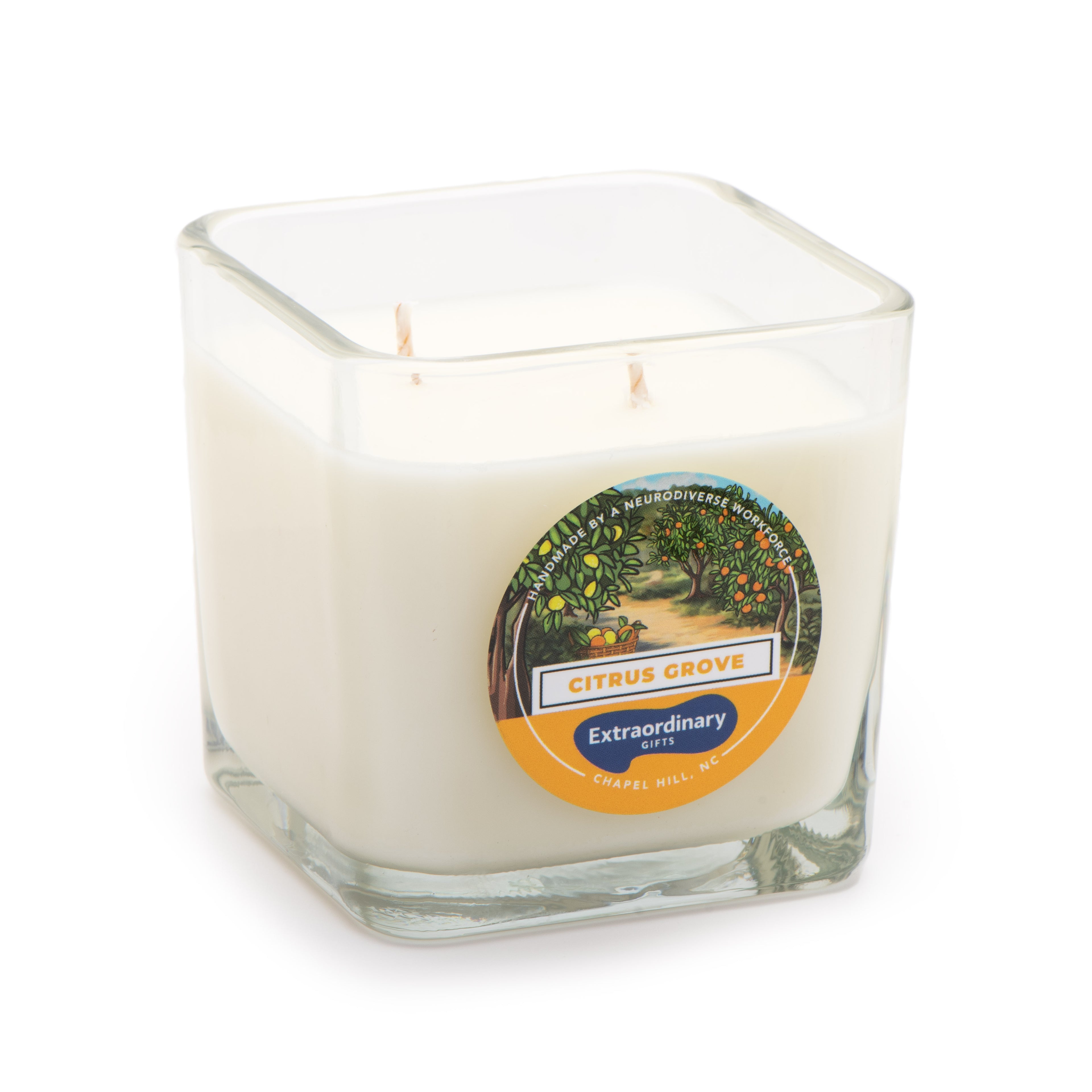 Citrus Grove Scented Soy Candle, Double Wick